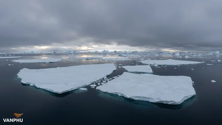 Dự báo tan băng Bắc Cực: Điều gì đang chờ đợi chúng ta?