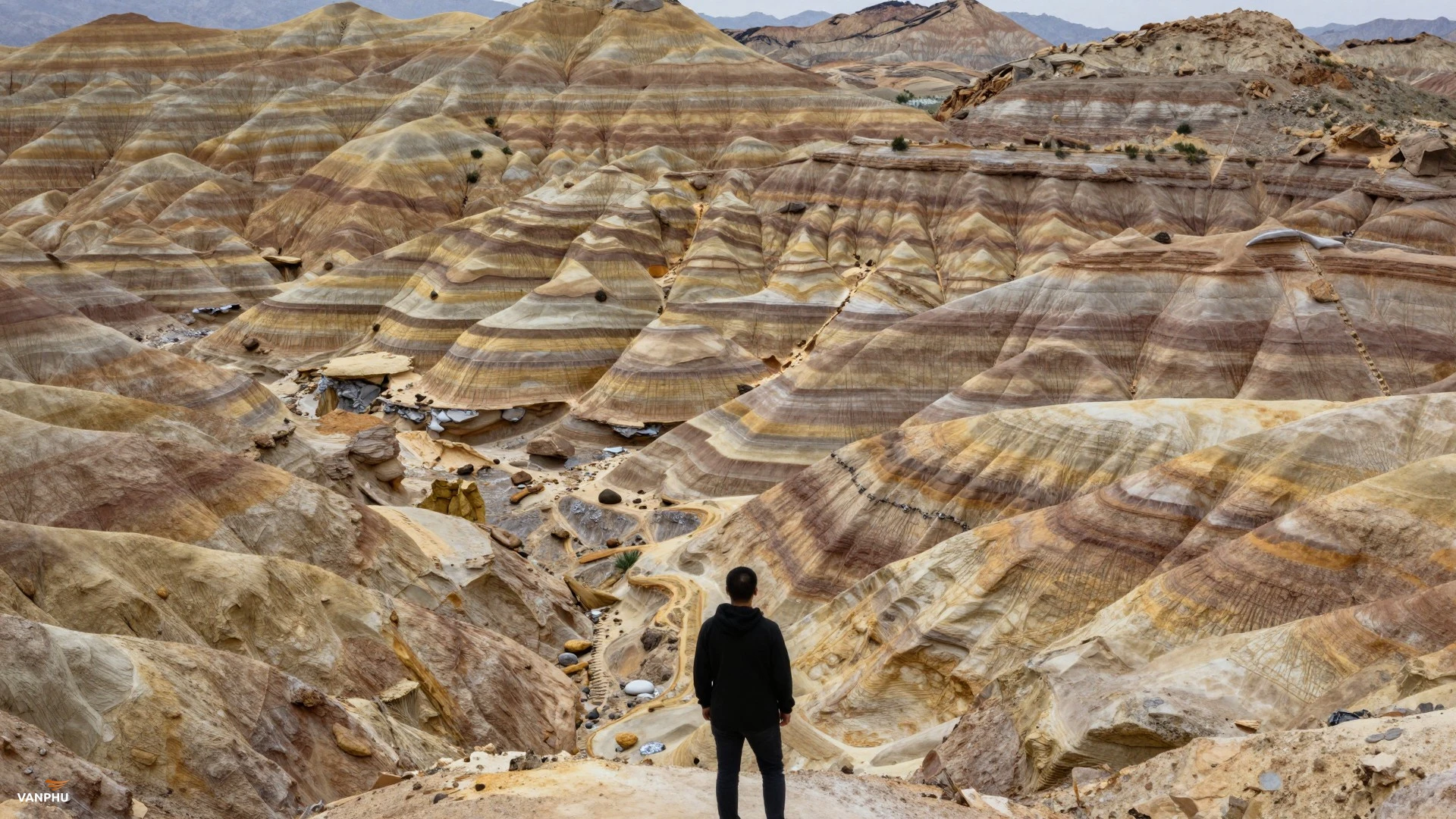 Nắm vững phân tích rủi ro tín dụng: Hướng dẫn cho người mới bắt đầu với dữ liệu khoản vay Prosper của Kaggle